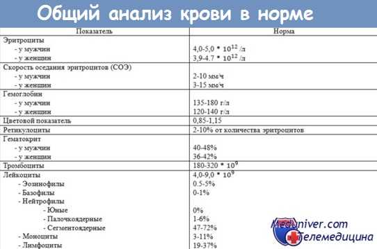 Оак норма образец